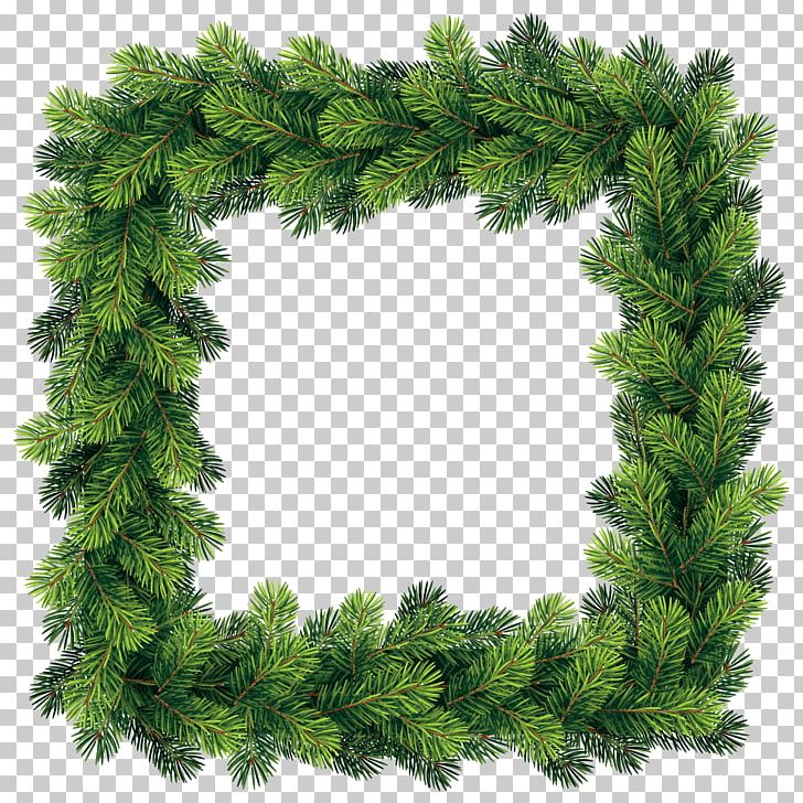 Christmas Pine Tree PNG, Clipart, Branch, Christmas, Christmas Decoration, Christmas Ornament, Christmas Plants Free PNG Download
