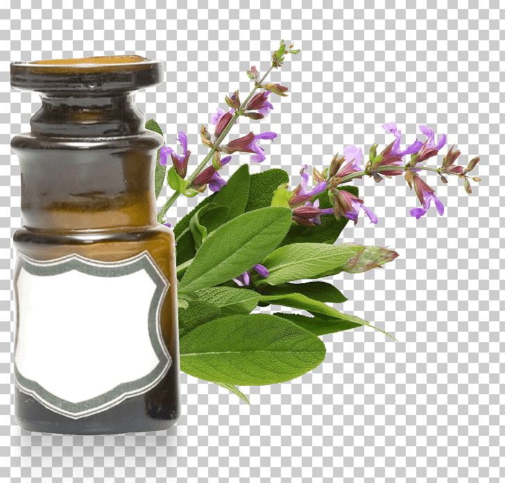 Clary Herb Essential Oil Rosemary PNG, Clipart, Babassu Oil, Bath Salts, Cananga Odorata, Clary, Common Sage Free PNG Download
