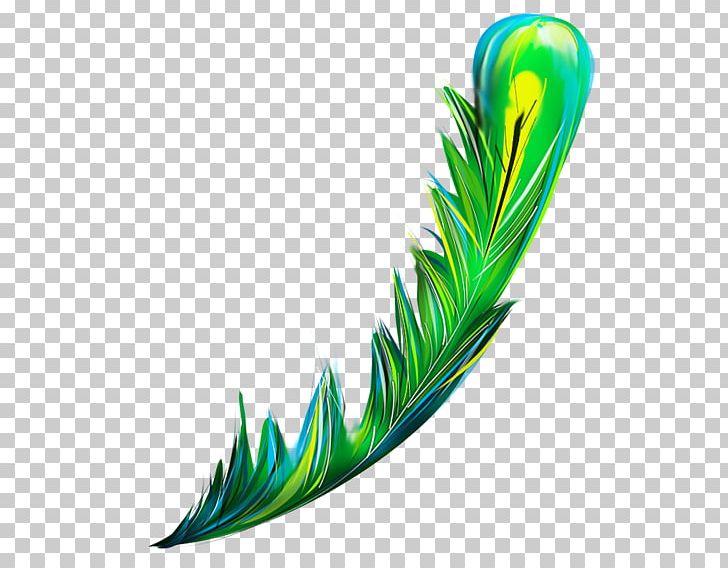 Feather Drawing PNG, Clipart, Animals, Aquarium Decor, Computer Software, Data, Download Free PNG Download
