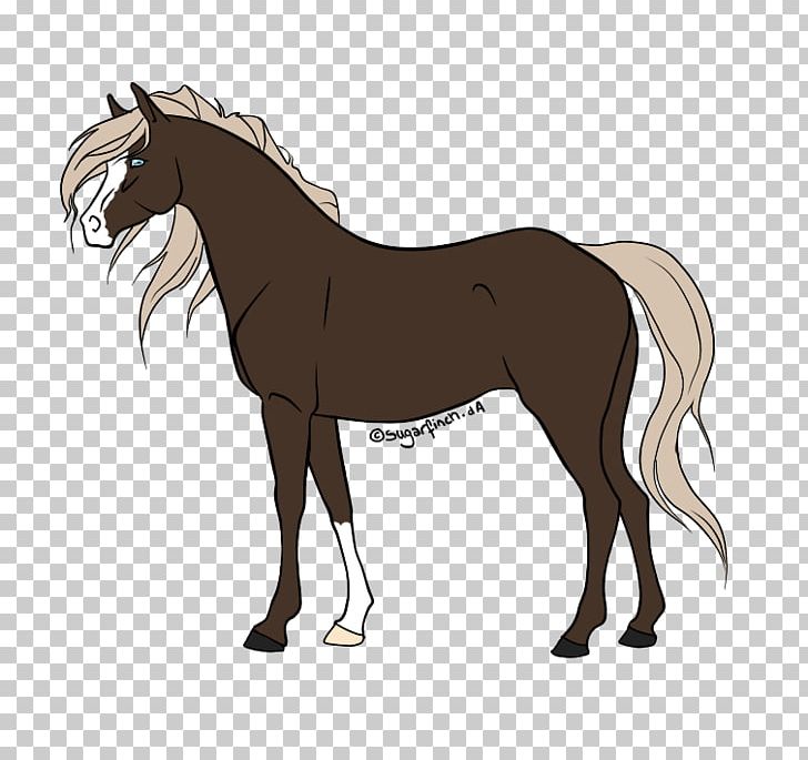 Foal Pony Mane Mustang Stallion PNG, Clipart, Agency, Appaloosa, Breed, Bridle, Chara Free PNG Download