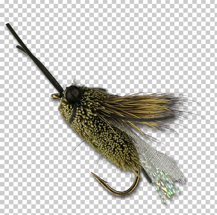 Insect Artificial Fly PNG, Clipart, Animals, Artificial Fly, Cicada, Fishing Bait, Insect Free PNG Download
