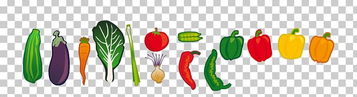 Veggie Burger Vegetable PNG, Clipart, Bell Peppers And Chili Peppers, Birds Eye Chili, Broccoli, Cauliflower, Chili Pepper Free PNG Download