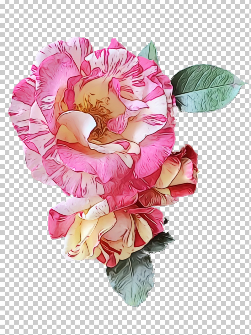 Garden Roses PNG, Clipart, Artificial Flower, Cabbage Rose, Cut Flowers, Floral Design, Flower Free PNG Download