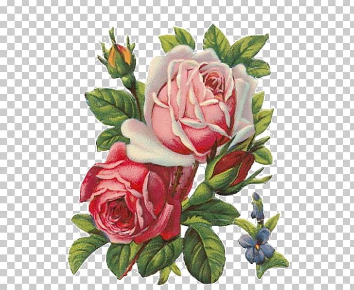 Rose Apron Vintage Clothing PNG, Clipart, Artificial Flower, Cut Flowers, Floral Design, Floristry, Flower Free PNG Download
