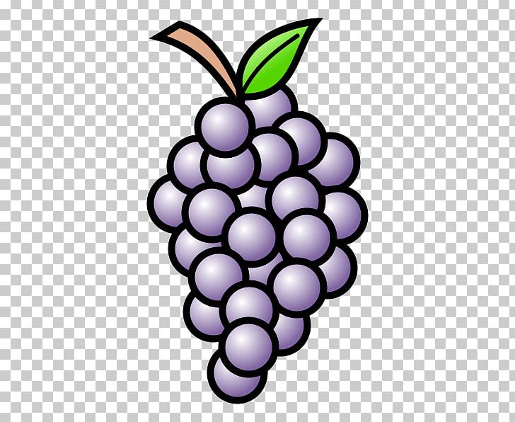 Grapevines Drawing Must PNG, Clipart, Banana, Berry, Citron, Drawing, Flowering Plant Free PNG Download