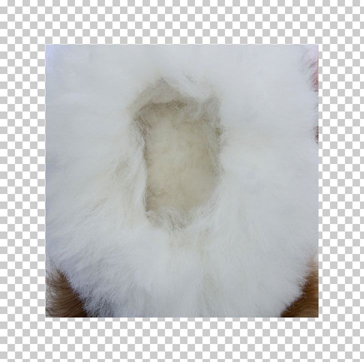 Alpaca Fiber Slipper Wool Sheep Shearing PNG, Clipart, Alpaca, Alpaca Fiber, Baby Alpaca, Color, Fashion Free PNG Download