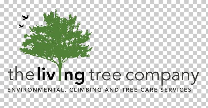 Arbor Pro Tree Management Co LLC Afacere Landscape Company PNG, Clipart, Afacere, Arbor Pro Tree Management Co Llc, Branch, Brand, Business Free PNG Download