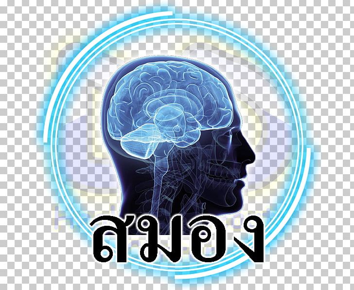 脑胶质瘤 Chronobiology Life Therapy PNG, Clipart,  Free PNG Download