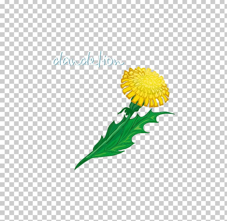 Common Dandelion Taraxacum Platycarpum PNG, Clipart, Chrysanths, Common Dandelion, Computer Wallpaper, Daisy, Daisy Family Free PNG Download