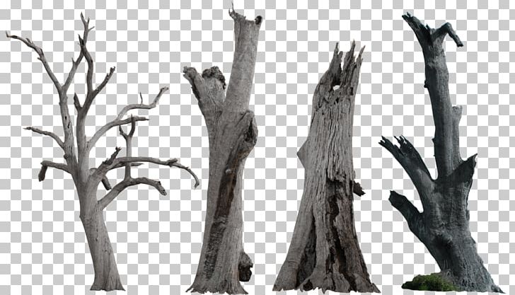 Tree Snag PNG, Clipart, Black And White, Branch, Clipart, Clip Art, Dead Tree Free PNG Download