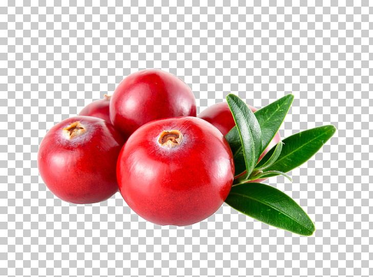 Cranberry Juice Finnish Cuisine Dried Cranberry PNG, Clipart, Acerola, Cherry, Currant, Food, Fruit Free PNG Download