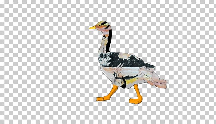 Duck Goose Fauna Beak Animal PNG, Clipart, Animal, Animal Figure, Beak, Bird, Duck Free PNG Download