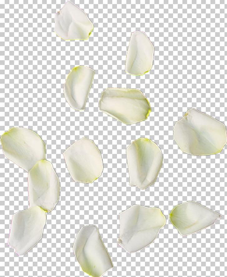 Petal Leaf Flower 0 PNG, Clipart, Belgium, Body Jewelry, Flower, France, Jewellery Free PNG Download
