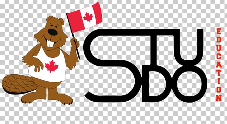 George Brown College STUDO EDUCATION INC. Evergreen College School PNG, Clipart, Brand, Campus, Canada, Carnivoran, Cartoon Free PNG Download