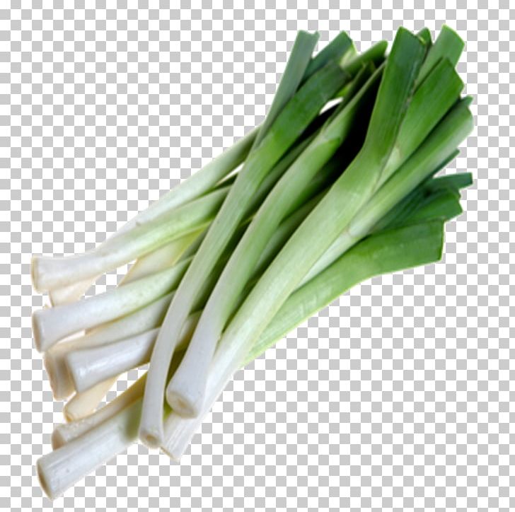 Leek PNG, Clipart, Leek Free PNG Download