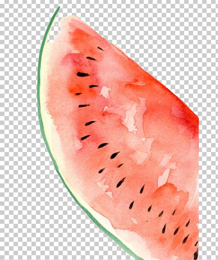 Watermelon Watercolor Painting PNG, Clipart, Cartoon, Encapsulated Postscript, Euclidean Vector, Food, Fruit Free PNG Download