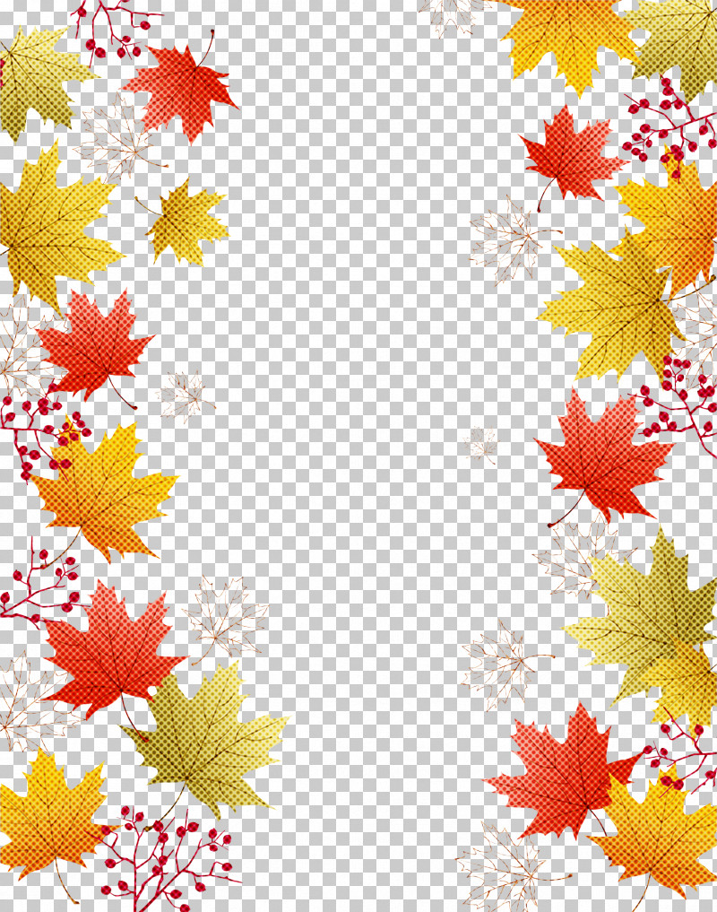 Maple Leaf PNG, Clipart, Biology, Flora, Floral Design, Leaf, Line Free PNG Download