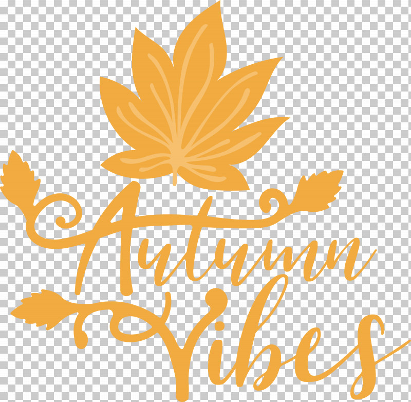 Autumn Vibes Autumn Fall PNG, Clipart, Autumn, Commodity, Fall, Flower, Fruit Free PNG Download