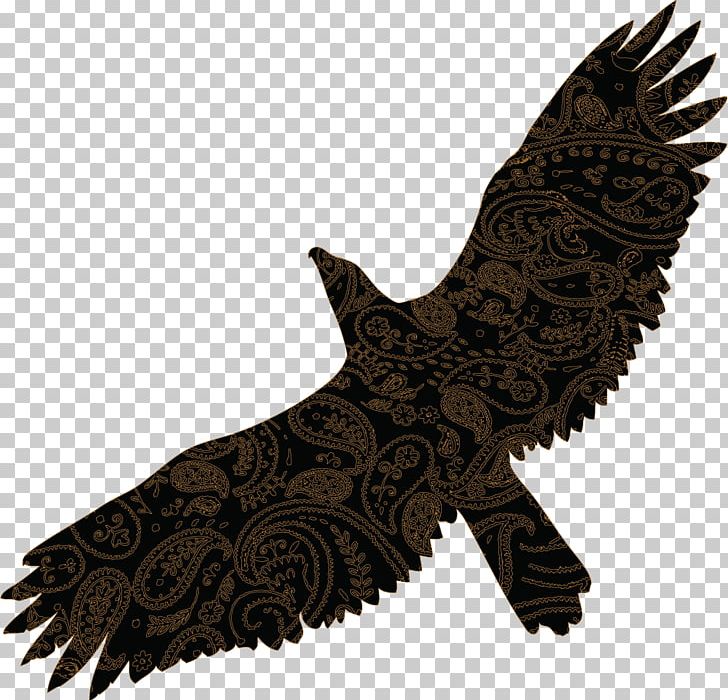 Bird Of Prey Gulls PNG, Clipart, Angels Wings, Angel Wing, Angel Wings, Animals, Art Free PNG Download