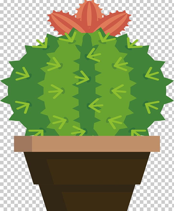 Cactaceae Viridiplantae PNG, Clipart, Cactus, Cactus Vector, Combustion, Flower, Flowering Plant Free PNG Download