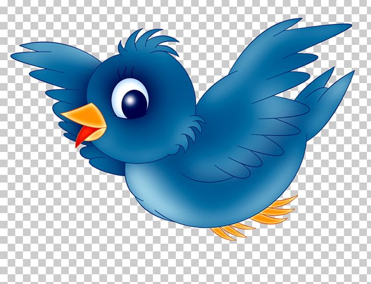 Eastern Bluebird Mountain Bluebird PNG, Clipart, Animals, Beak, Bird, Bluebird, Bluebird Of Happiness Free PNG Download