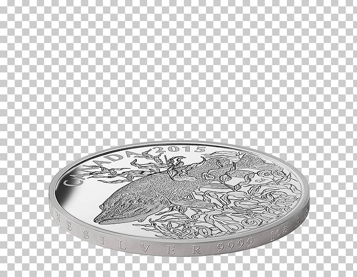 Silver Nickel PNG, Clipart, Nickel, Northern Pike, Silver Free PNG Download