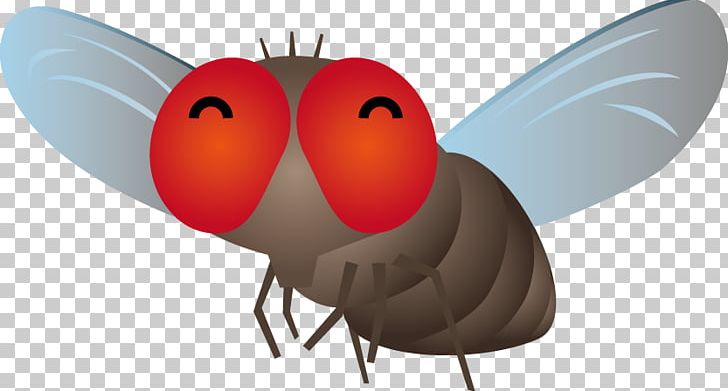 Insect Fly Mosquito Mating PNG, Clipart, Arthropod, Beak, Butterfly, Daytime, Fly Free PNG Download