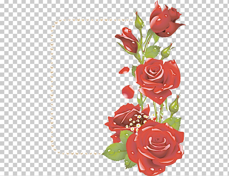 Garden Roses PNG, Clipart, Drawing, Floral Design, Flower, Garden Roses, Rose Free PNG Download