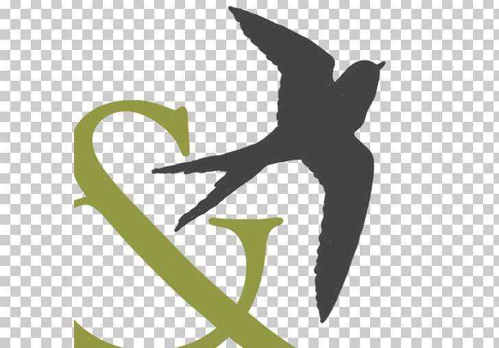 Beak Water Bird Cygnini Anatidae Goose PNG, Clipart, Anatidae, Beak, Bird, Botanical Garden, Brunch Free PNG Download