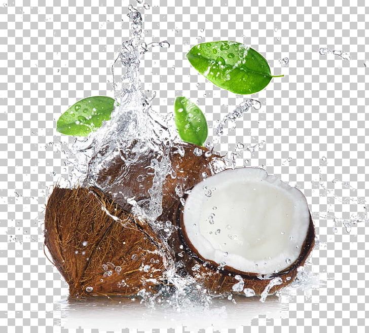 Coconut Water Coconut Milk Coconut Oil Cocoa Bean PNG, Clipart, Cocoa Bean, Cocoa Butter, Cocoa Solids, Coconut, Coconut Cream Free PNG Download