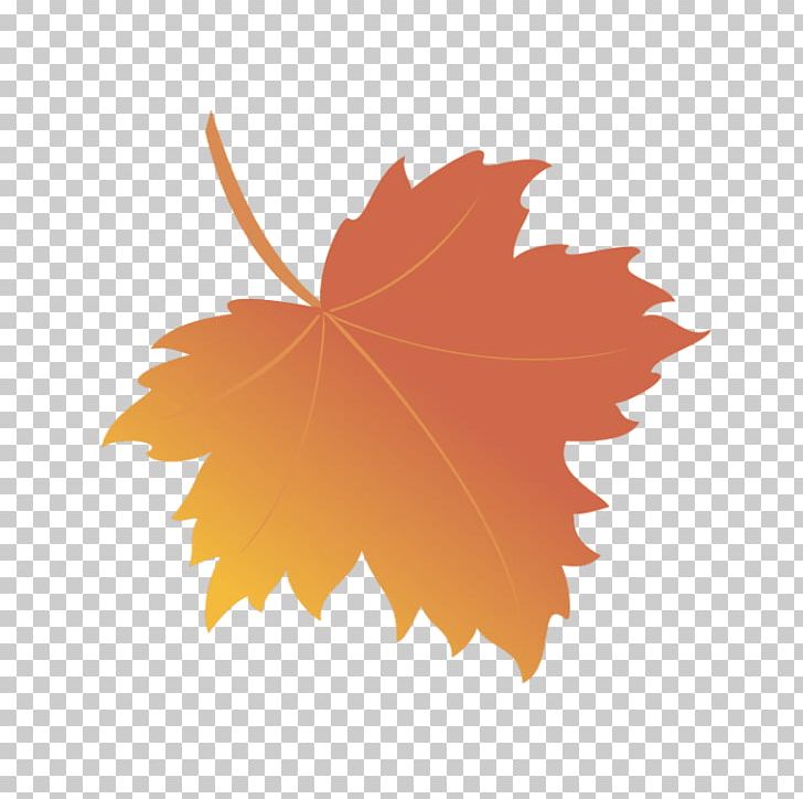 Maple Leaf PNG, Clipart, Autumn, Autumn Leaf Color, Flowering Plant, Istock, Leaf Free PNG Download