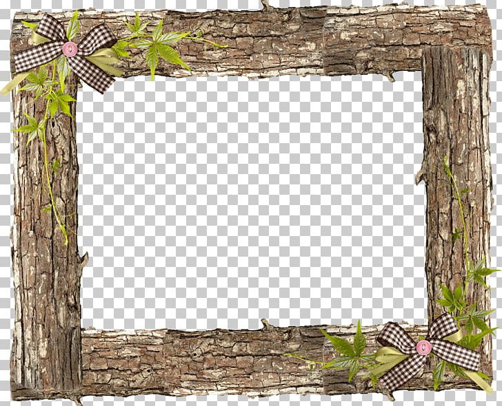 Paper Frames Photography Greeting & Note Cards PNG, Clipart, Branch, Flower, Grass, Greeting Note Cards, M083vt Free PNG Download