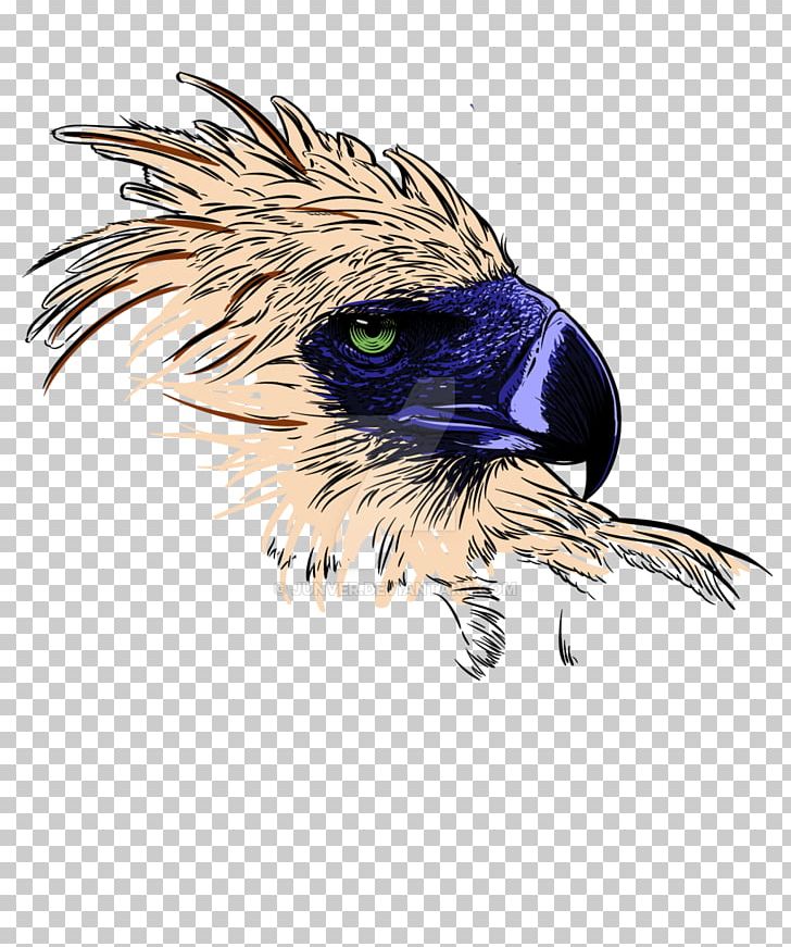 Philippine Eagle Philippines Bald Eagle PNG, Clipart, Animals, Art, Bald Eagle, Beak, Bird Free PNG Download