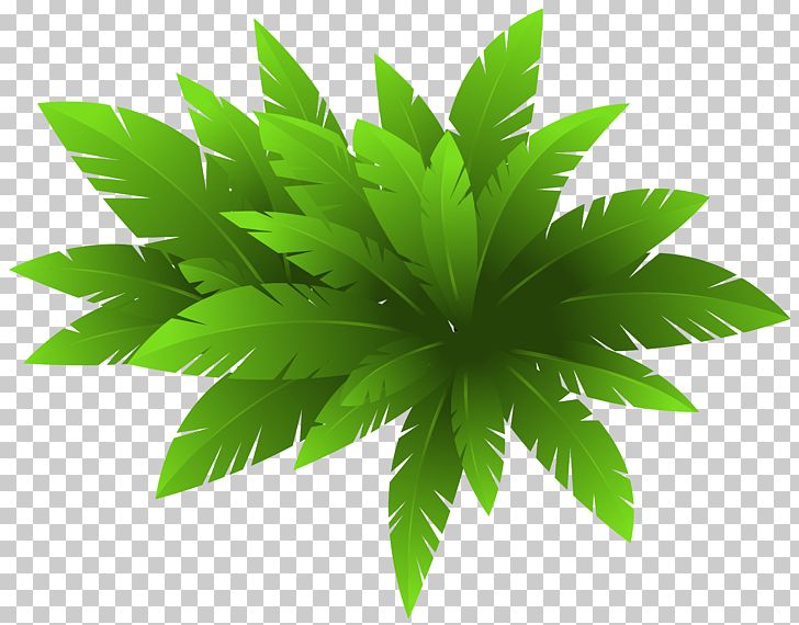 Plant CorelDRAW PNG, Clipart, Adobe Illustrator, Art Green, Cannabis, Clipart, Clip Art Free PNG Download