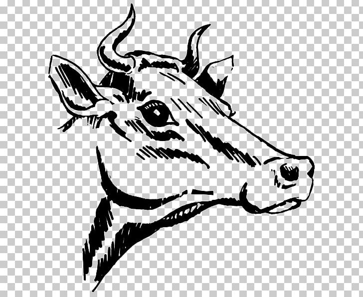 Texas Longhorn Drawing PNG, Clipart, Antler, Artwork, Black And White, Bull Horns, Carnivoran Free PNG Download