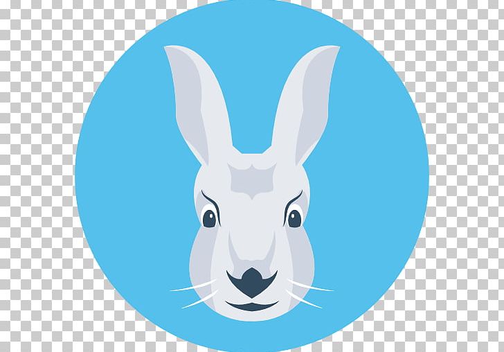 Domestic Rabbit Aardvark Kangaroo Hare Macropodidae PNG, Clipart, Aardvark, Animal, Animals, Canidae, Computer Icons Free PNG Download