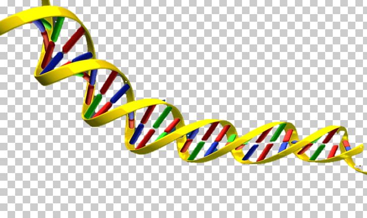 The Double Helix: A Personal Account Of The Discovery Of The Structure Of DNA Nucleic Acid Double Helix PNG, Clipart, Art, Body Jewelry, Disc, Dna Replication, Fashion Accessory Free PNG Download