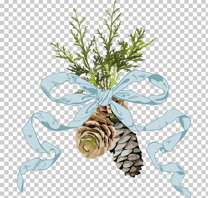 Christmas PNG, Clipart, Branch, Cartoon, Christmas, Christmas Ornament, Conifer Cone Free PNG Download