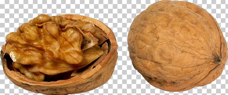 English Walnut Nuts PNG, Clipart, Almond, Digital Image, Dried Fruit, English Walnut, Food Free PNG Download