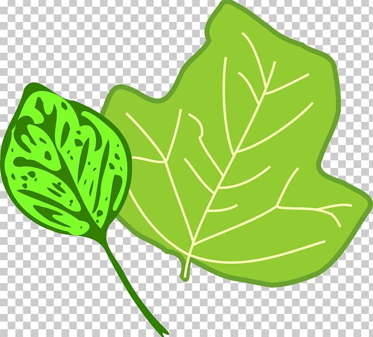 Leaf PNG, Clipart, Autumn, Autumn Leaf Color, Blog, Download, Email Free PNG Download