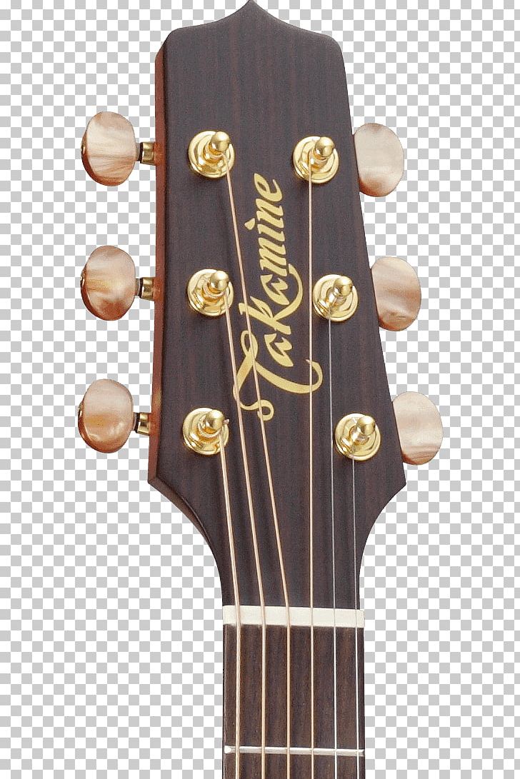 Takamine Pro Series P3DC Takamine Guitars Classical Guitar Steel-string Acoustic Guitar PNG, Clipart, Acoustic Electric Guitar, Classical Guitar, Cutaway, Guitar Accessory, Musi Free PNG Download