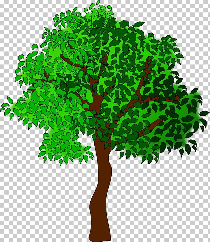 Leaf Bing Branch PNG, Clipart, Bing, Branch, Drawing, Grass, Leaf Free PNG Download