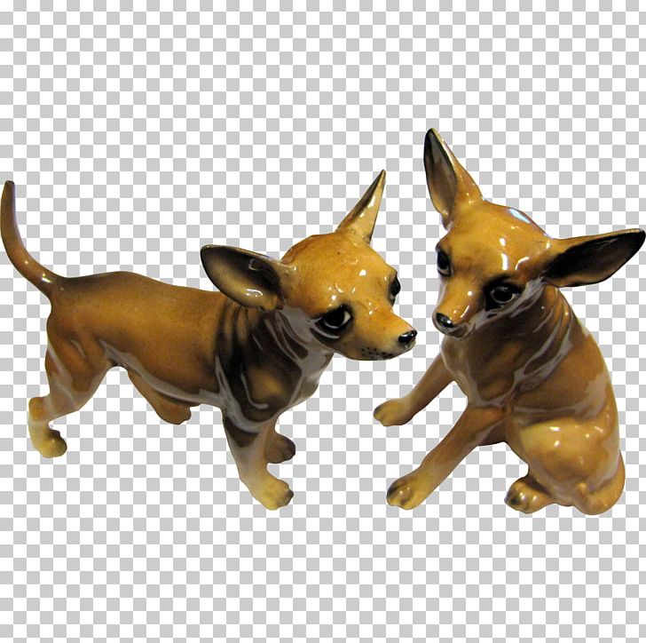 Chihuahua Dog Breed Toy Dog Salt Snout PNG, Clipart, Animal, Black Pepper, Breed, Carnivora, Carnivoran Free PNG Download
