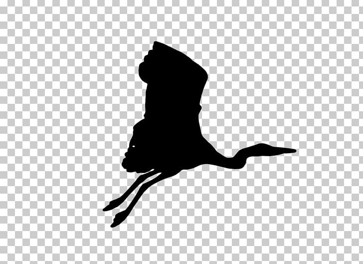 Crane Bird Silhouette PNG, Clipart, Beak, Bird, Black, Black And White, Brolga Free PNG Download