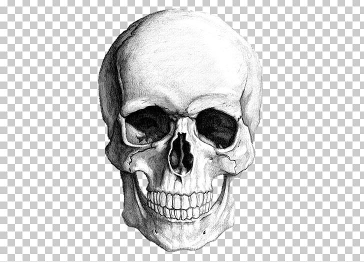 Drawing Skull Human Skeleton Art PNG, Clipart, Art, Black And White, Bone, Drawing, Face Free PNG Download