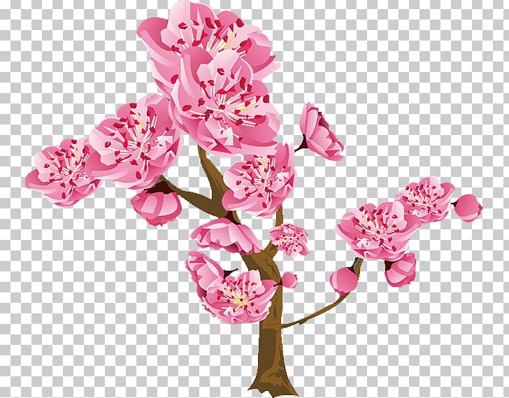 Floral Design Flower Peach PNG, Clipart, Blooms, Blossom, Blossoms, Cherry Blossom, Cherry Blossoms Free PNG Download