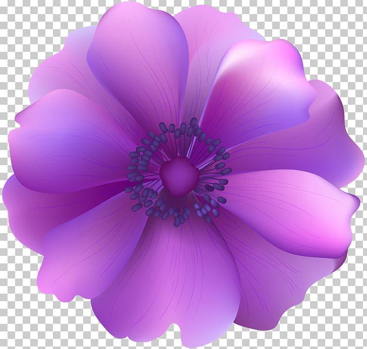 Flower Computer Icons Purple PNG, Clipart, Blue, Computer Icons, Flower, Flowering Plant, Herbaceous Plant Free PNG Download