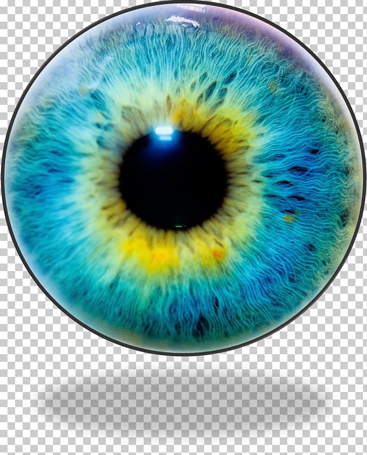 Human Eye Iris Recognition Eye Color PNG, Clipart, Blue, Circle, Closeup, Color, Extraocular Muscles Free PNG Download