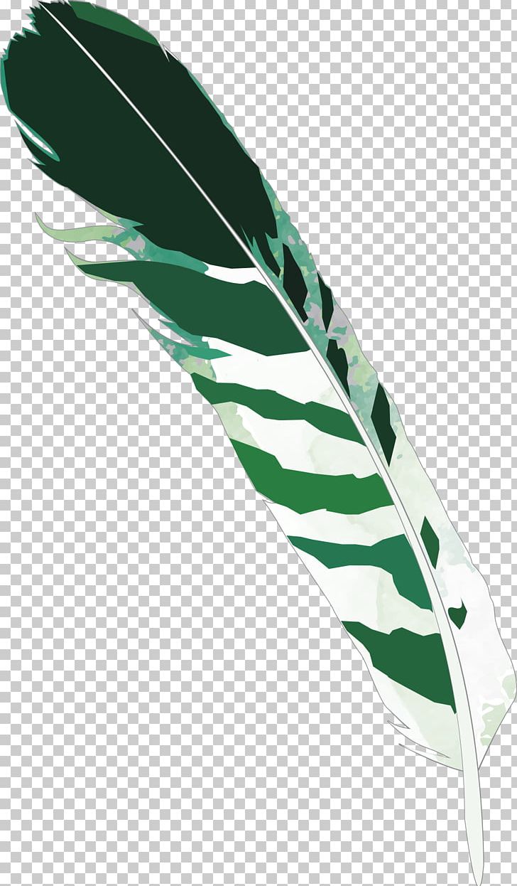 Bird Green Feather PNG, Clipart, Animals, Bird, Blue, Color, Download Free PNG Download