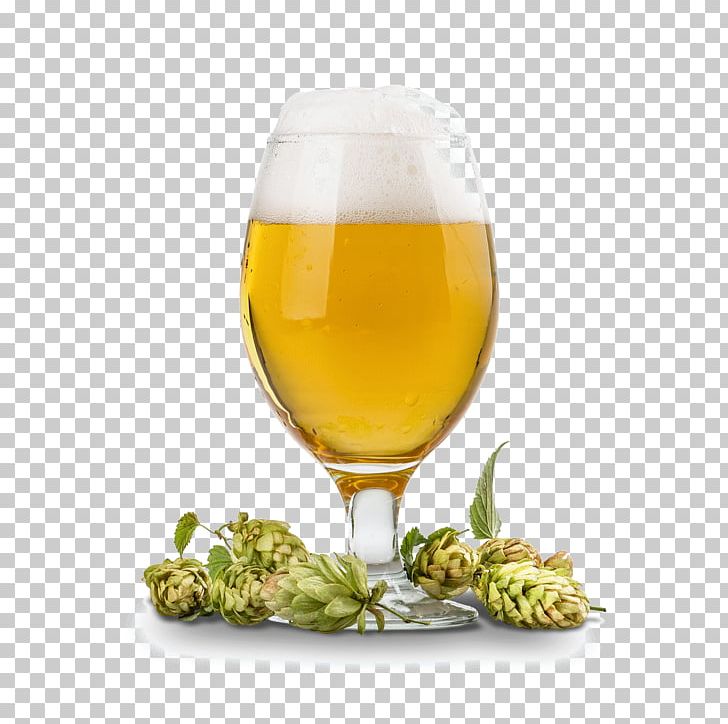 Grog Beer Glasses White Wine PNG, Clipart, Beer, Beer Glass, Beer Glasses, Beer Hops, Bira Free PNG Download